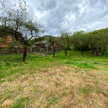 Гребенів, Стрийський, Львівська область 24000.0 USD