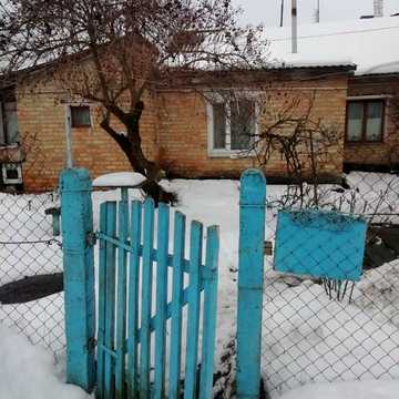 Центральна вул.
