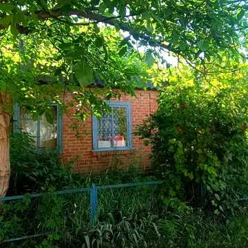 Ромашкова вул., 1