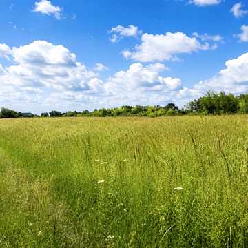 Черлянське передмітя