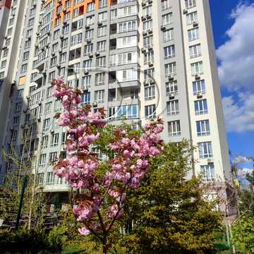 Каховська вул., 62-А
