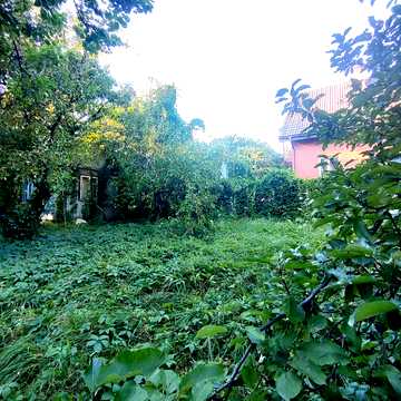 Novus, Вишгород, Вишгородський, Київська область 33000.0 USD