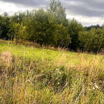 Східниця, Дрогобицький, Львівська область 63000.0 USD