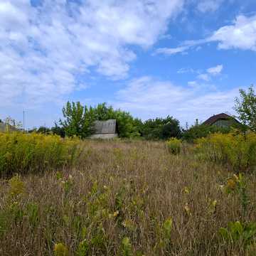 Центральна вул., 71