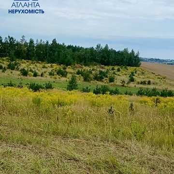 Гаразджа, Луцький, Волинська область 8000.0 USD
