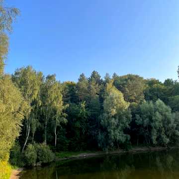 Лісники, Обухівський, Київська область 75500.0 USD