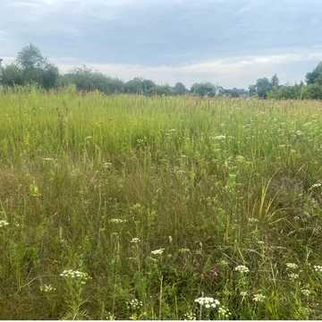 Шевченкове, Броварський, Київська область 17000.0 USD