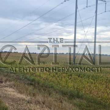 Княжичі, Броварський, Київська область 140000.0 USD