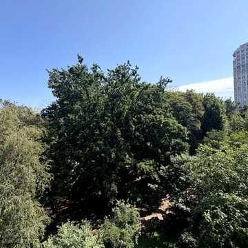 Парково-Сирецька вул. (Тимофія Шамрила), 4-А