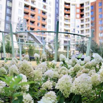 Ольги Кобилянської вул. (Достоєвського), (Будинок 38)