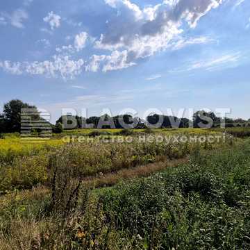Красилівка, Броварський, Київська область 300000.0 USD