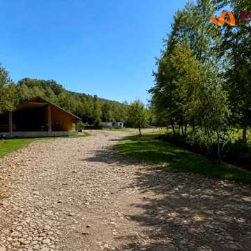 Трачів