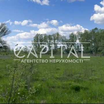 Незалежності, 43