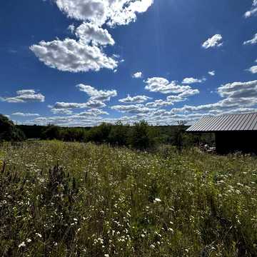 Малечковичі, Львівський, Львівська область 5500.0 USD