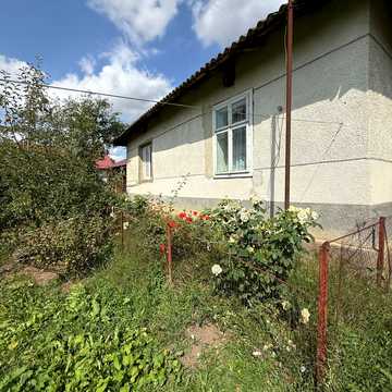 Царинка, 48