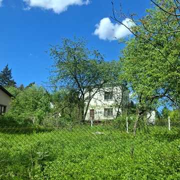Барвінок, 13