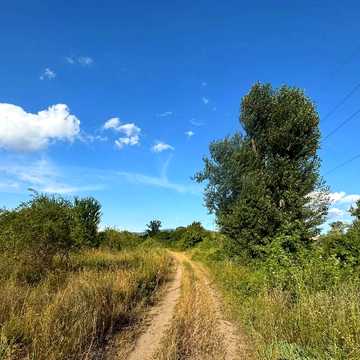 Оноківці, Ужгородський, Закарпатська область 70000.0 USD