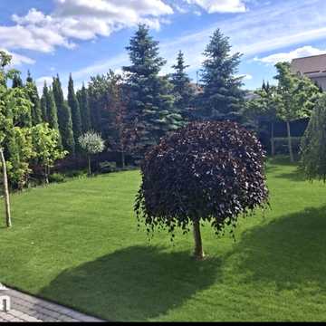 Архітектурний пров., 25