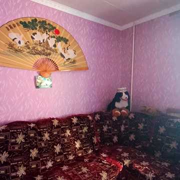Федора Караманиць вул. (Ватутіна), 43