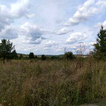 Рідна