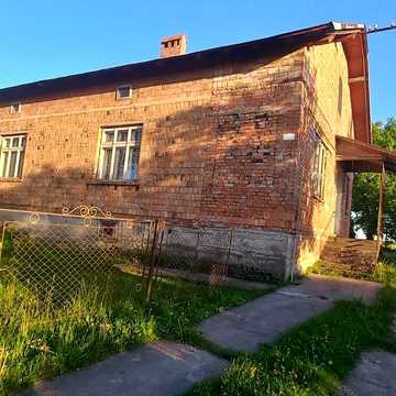 зелена, 24