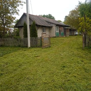 володимира великого