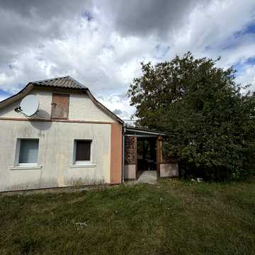 зелена, 18