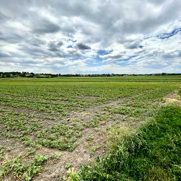 Дядьковичі, Рівненський, Рівненська область 5000.0 USD