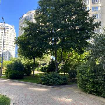 Березова вул., 2к2