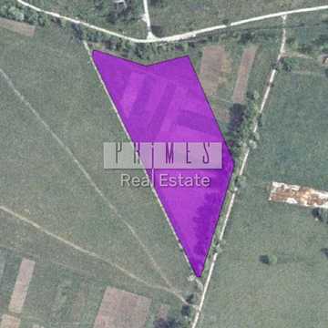 Гостомель, Бучанський, Київська область 350000.0 USD