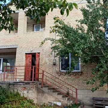 зелена, 24