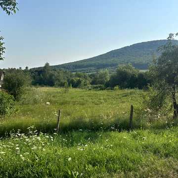 Головна