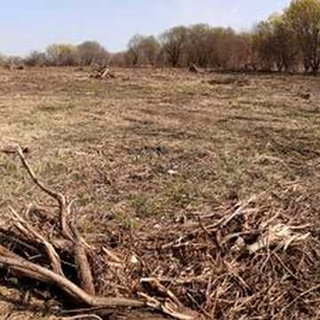 Солонка, Львівський, Львівська область 24000.0 USD