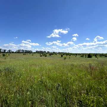 Гавронщина, Бучанський, Київська область 7500000.0 USD