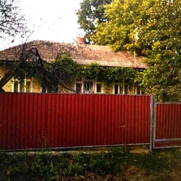 Франка, 25