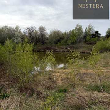 Гута, Ужгородський, Закарпатська область 150000.0 EUR