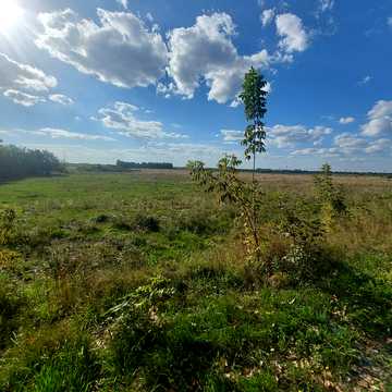 Городок, Львівський, Львівська область 13000.0 USD