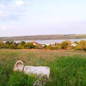 Центральна, 50