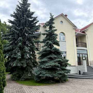 Коротницького