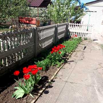 Центральна