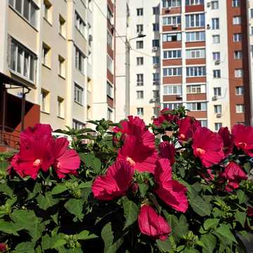 Драгоманова вул., 6Б