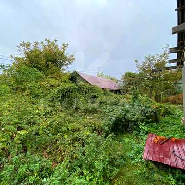 Нова пошта, Білогородка, Бучанський, Київська область 63000.0 USD