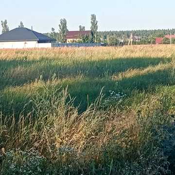 Зоряна