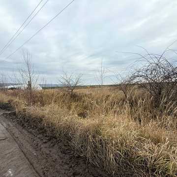 Баранинці, Ужгородський, Закарпатська область 98000.0 USD