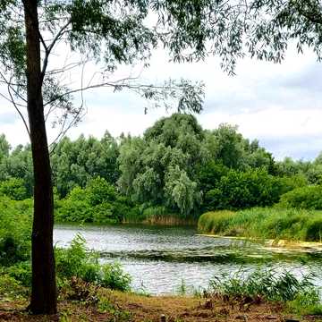Вишеньки, Бориспільський, Київська область 85000.0 USD