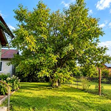 Івана Франка вул., 71