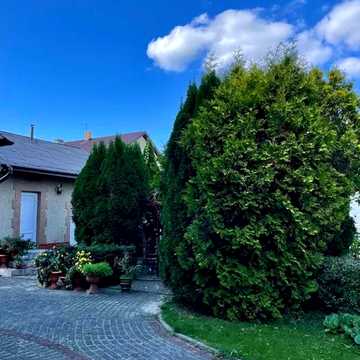 Панаса Мирного вул., 8