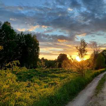 Польова, 12