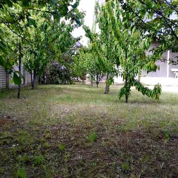 Музична вул., 29
