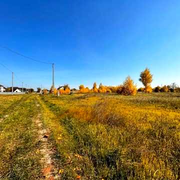 Польова